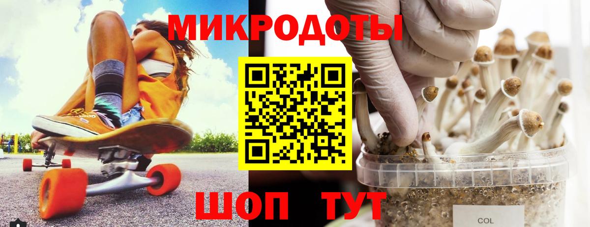 Псилоцибиновые грибы Psilocybe Королёв
